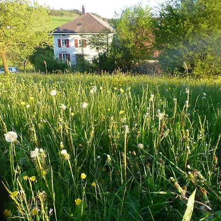 Bed & Breakfast Winzenberg