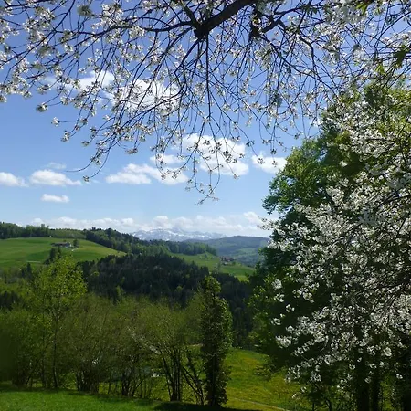 Bed & Breakfast Winzenberg