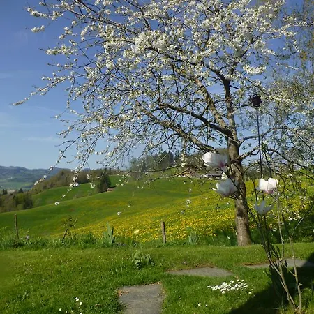 Bed & Breakfast Winzenberg *